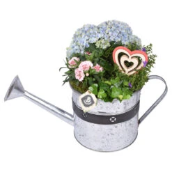 Gießkanne Bepflanzt Mit Deko