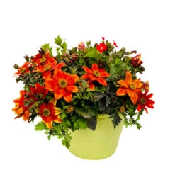 Potpourri XXL T17, Mit Verschiedenen Blüten