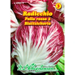 Saatgut Radicchio Palla Rossa 2 Für Ca. 40 Pflanzen
