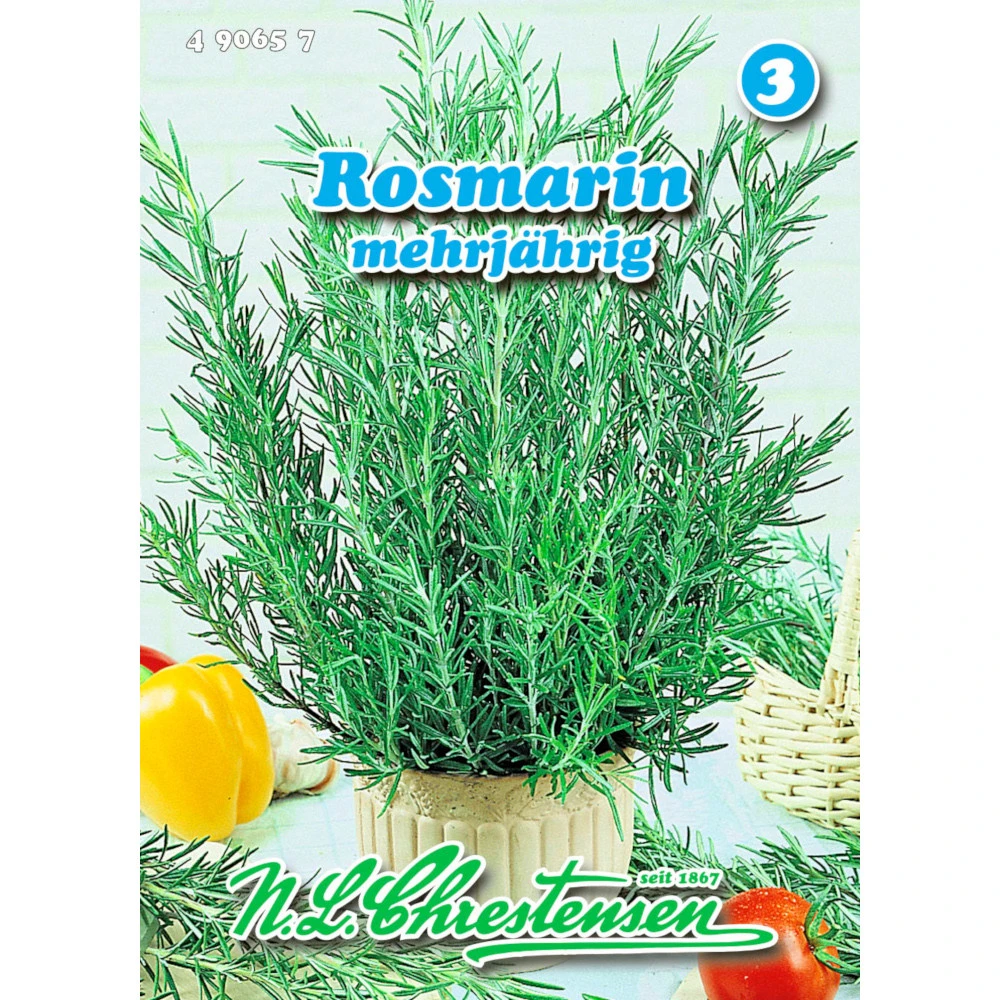 Saatgut Rosmarin Mehrjährig Reicht Für Ca. 50 Pflanzen