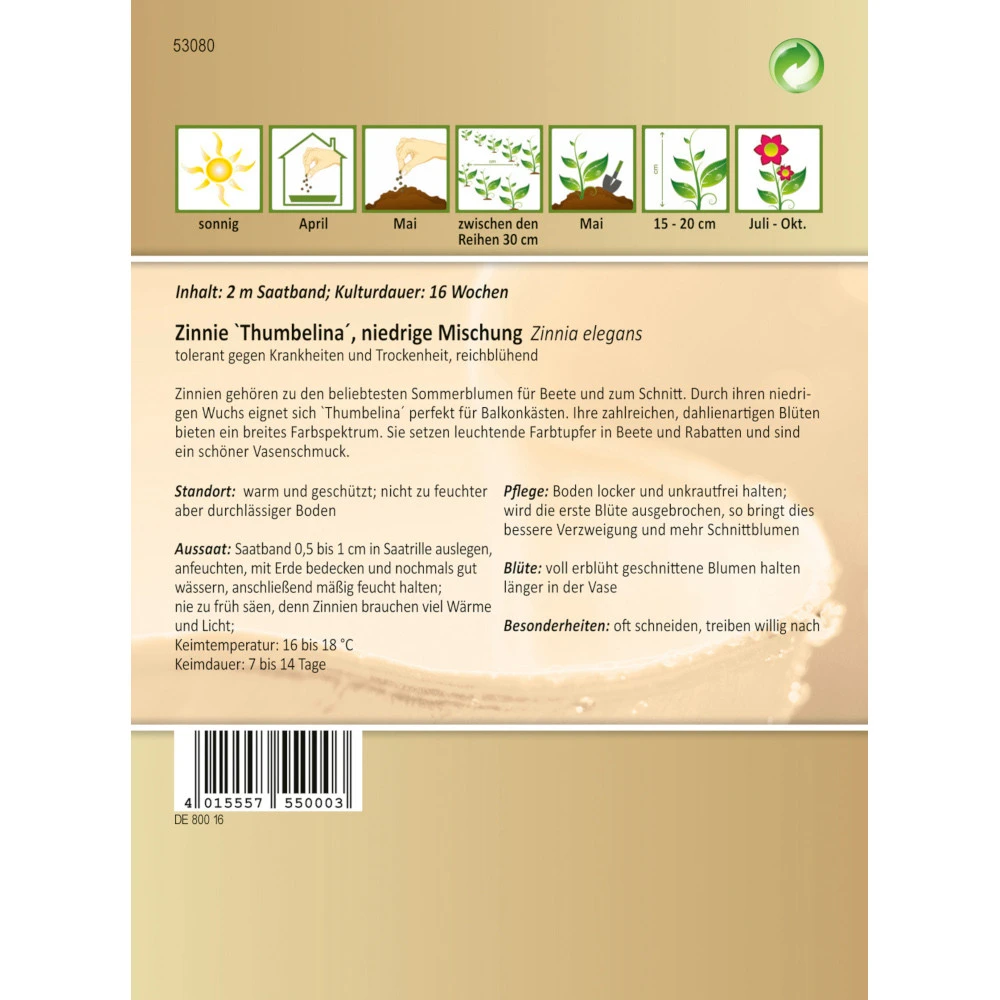 Saatgut Zinnie Thumbelina Niedrige Mischung, Ca. 2 Meter Saatband - Image 2