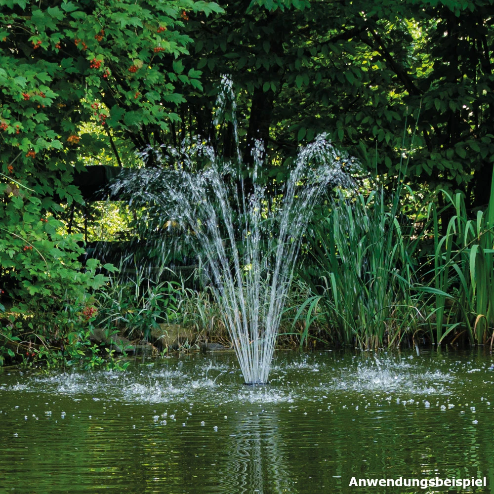 Springbrunnenpumpe GBSB2 - Image 7