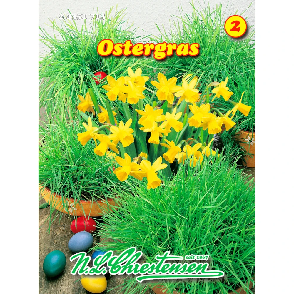 Saatgut Ostergras Als Dekoration Oder Kleintierfutter