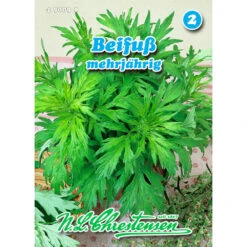Saatgut Beifuß Gewürzkraut Mehrjährig