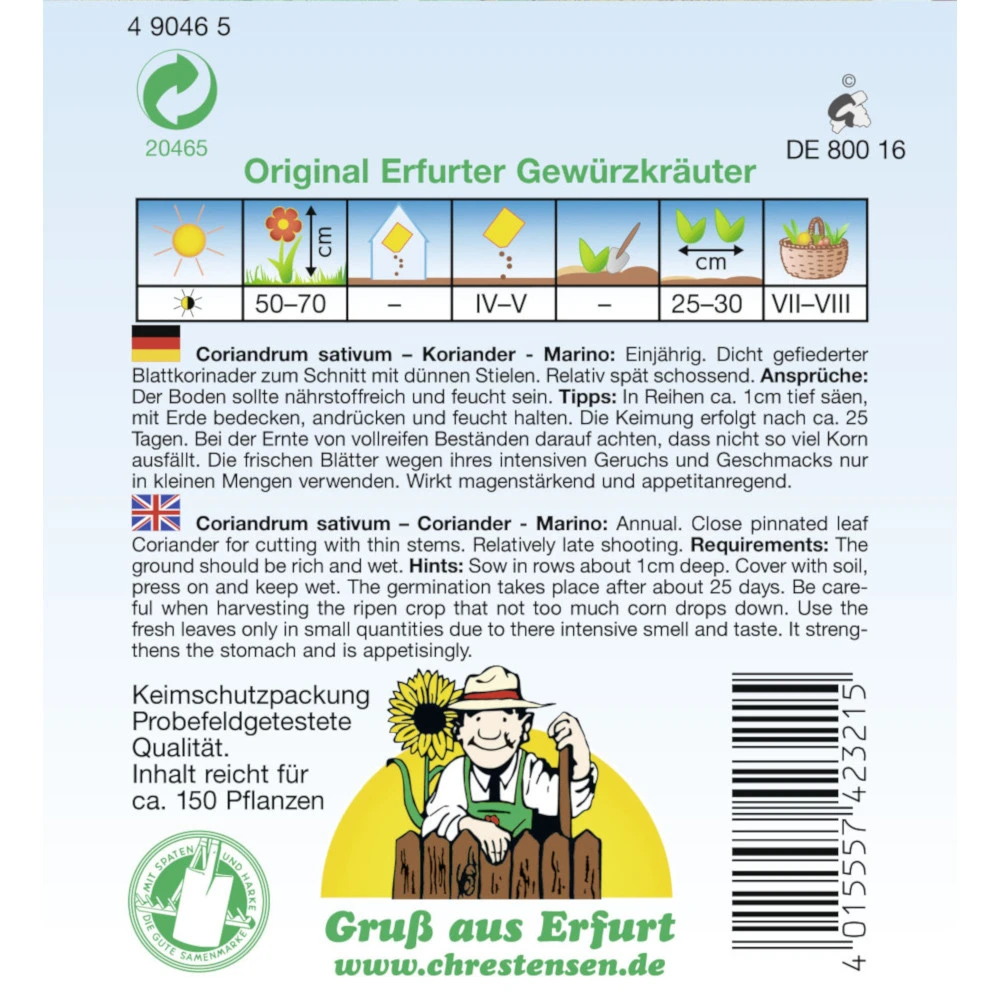 Saatgut Koriander Marino Gewürzkraut Einjährig - Image 2