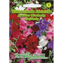 Saatgut Edelwicken Spencer Mischung Bunt Für Ca. 30 Pflanzen