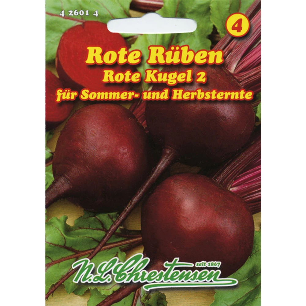 Saatgut Rote Rüben Kugel Dunkelrotes Fleisch Für Sommer- Und Herbsternte