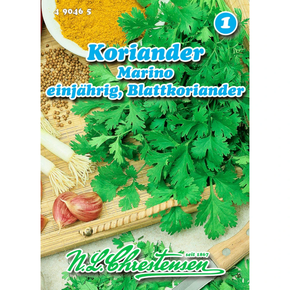 Saatgut Koriander Marino Gewürzkraut Einjährig