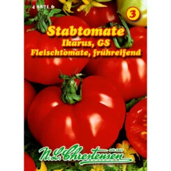Saatgut Fleischtomate Ikarus FrĂŒhreifend, FĂŒr Ca. 50 Pflanzen