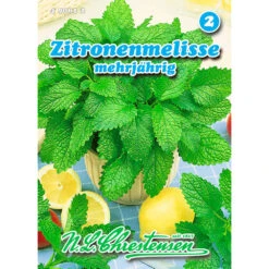 Saatgut Zitronenmelisse Würzkraut, Für Ca. 80 - 120 Pflanzen