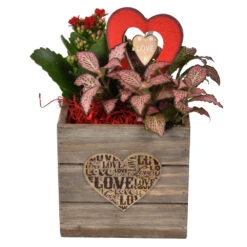 Holzgefäß Viereckig Bepflanzt Mit Deko