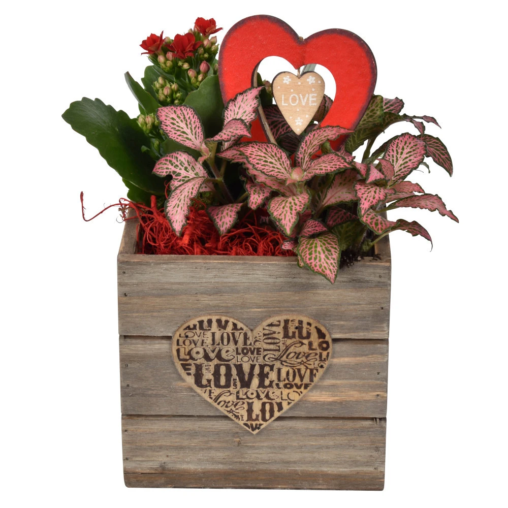 Holzgefäß Viereckig Bepflanzt Mit Deko