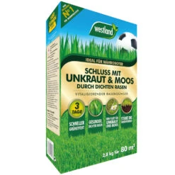 WESTLAND RasendĂŒnger ''Schluss Mit Unkraut Und Moos'' 2,8 Kg