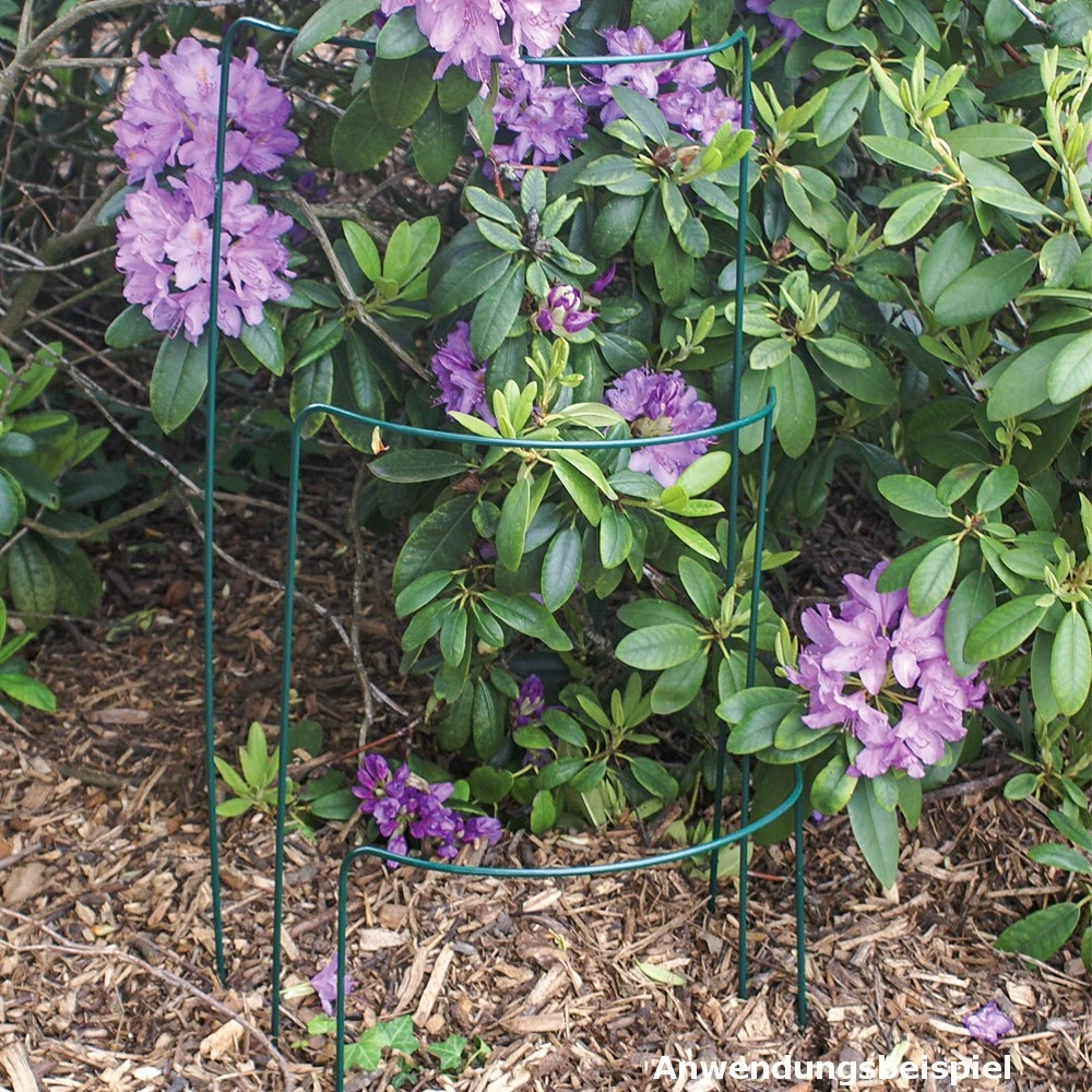 Strauchstütze 70 X 40 Cm, Metalldraht, Grün - Image 3