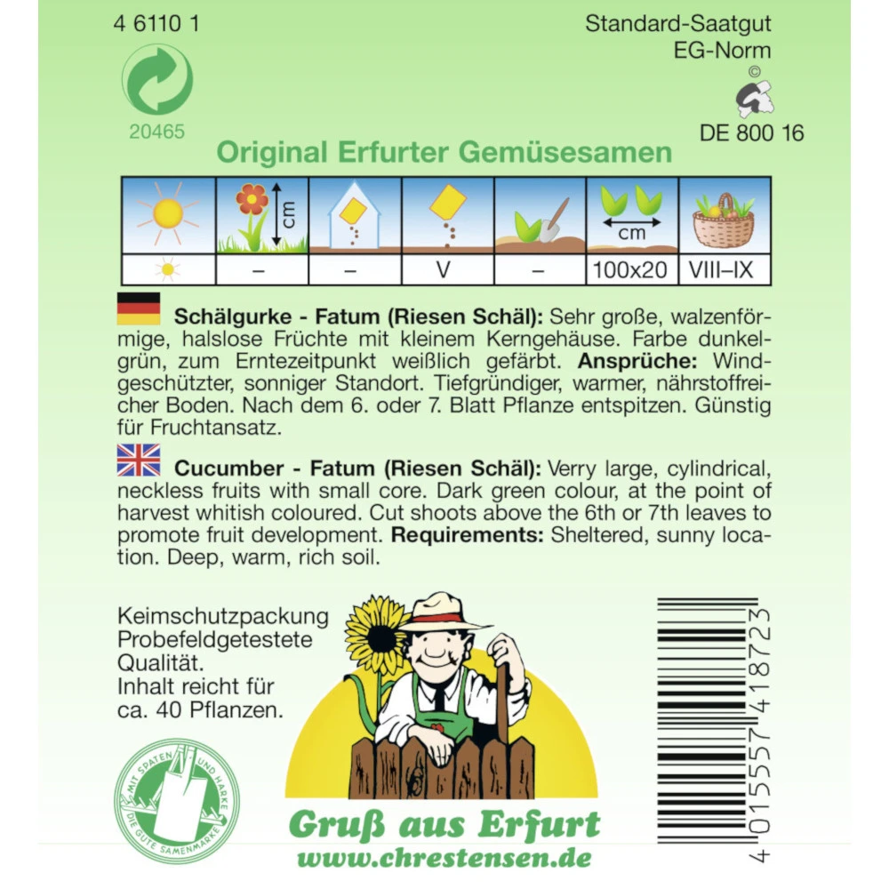 Saatgut Schälgurke Fatum Halslose Früchte Für Ca. 40 Pflanzen - Image 2