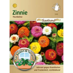 Saatgut Zinnie Thumbelina Niedrige Mischung, Ca. 2 Meter Saatband