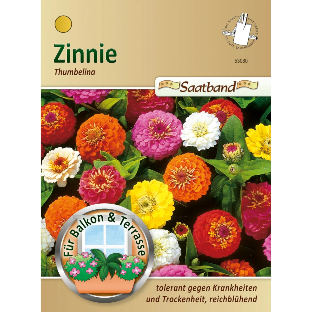 Saatgut Zinnie Thumbelina Niedrige Mischung, Ca. 2 Meter Saatband