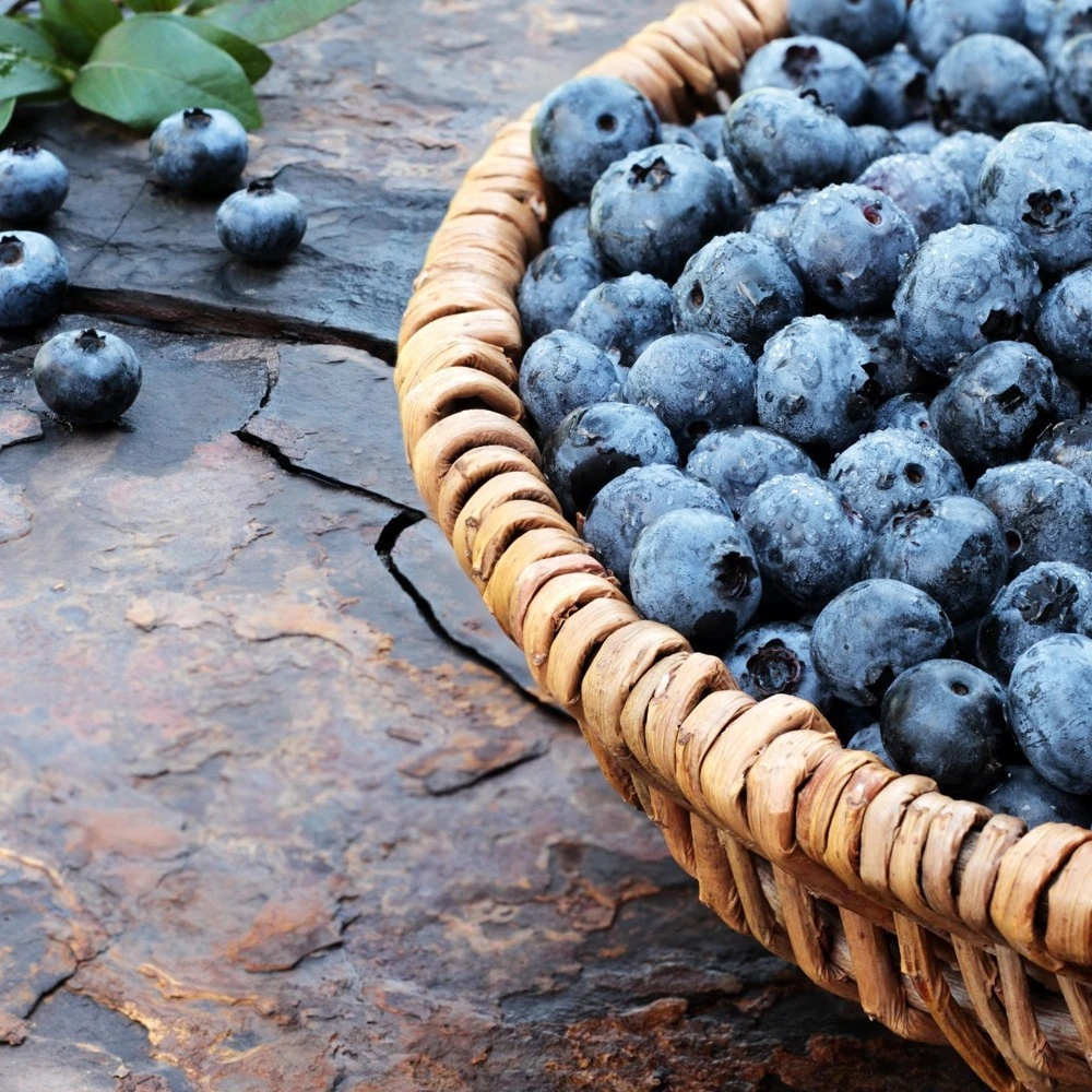 Beerenobst Im Sortiment - Image 3