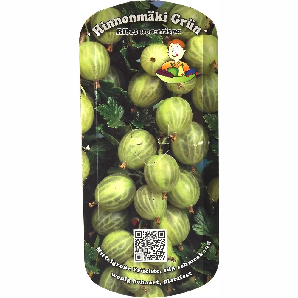 Beerenobst Im Sortiment - Image 4