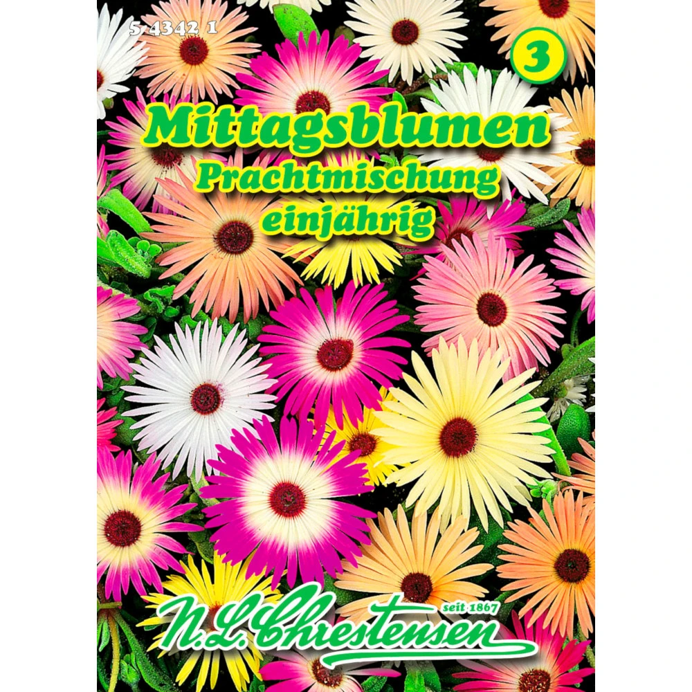 Saatgut Mittagsblume „esembryanthemum" Prachtmischung, Für Ca. 100 Pflanzen