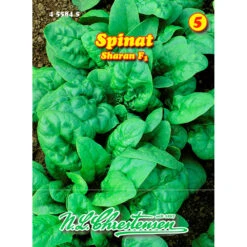 Saatgut Spinat Sharan F1 Mittelfrühe Sorte Für Ca. 8 Laufende Meter