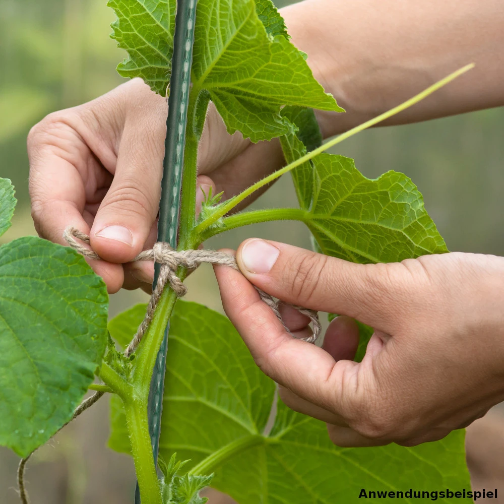 Pflanzstab Ø 11 X 900 Mm Aus Stahldraht Mit Dunkelgrüner Ummantelung - Image 2