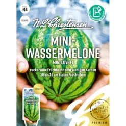 Saatgut Mini-Wassermelone Mini Love F1