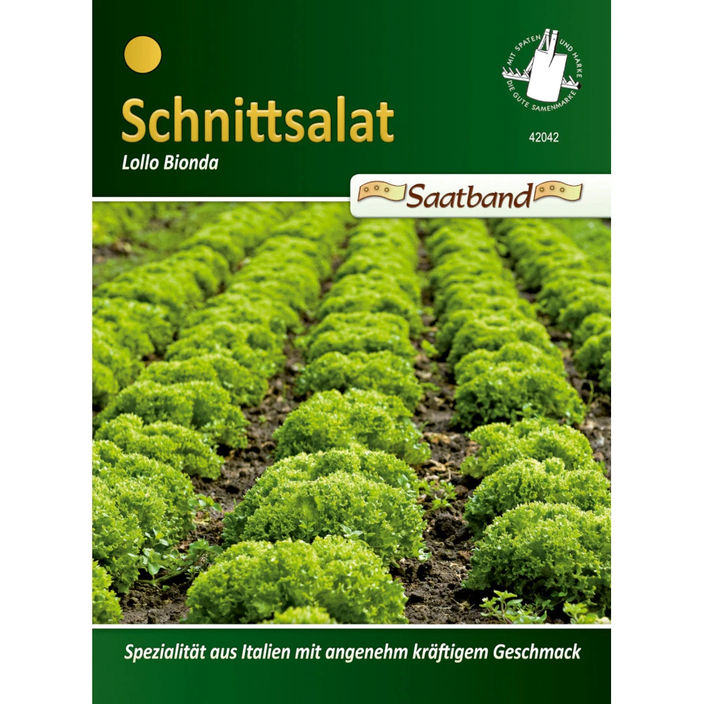 Saatgut Schnittsalat Lollo Bionda, Ca. 2 Meter Saatband, Italienische SpezilaitÀt