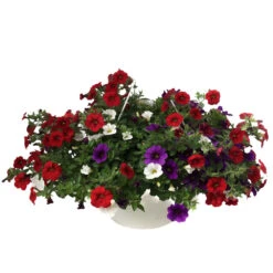 Sommerblumenampel XXL, In Verschiedenen Ausführungen