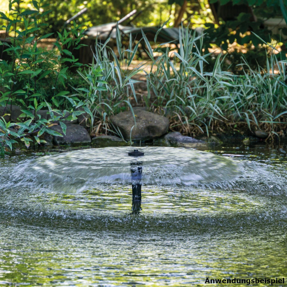 Springbrunnenpumpe GBSB2 - Image 6